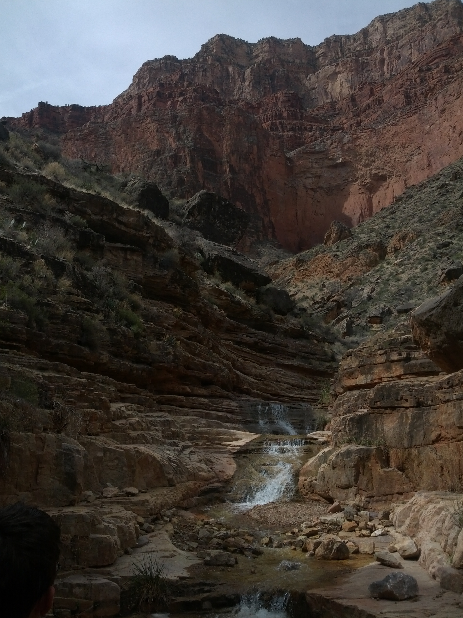 IMG_20130315_113151.jpg